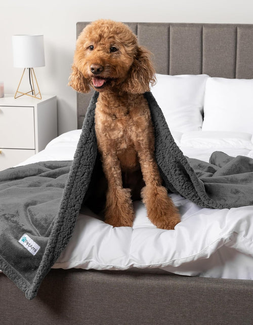 Load image into Gallery viewer, Waterproof Dog Blanket for Bed, Couch, Sofa | Waterproof Dog Bed Cover for Large Dogs, Puppies | Sherpa Fleece Pet Blanket Furniture Protector | Reversible Microfiber
