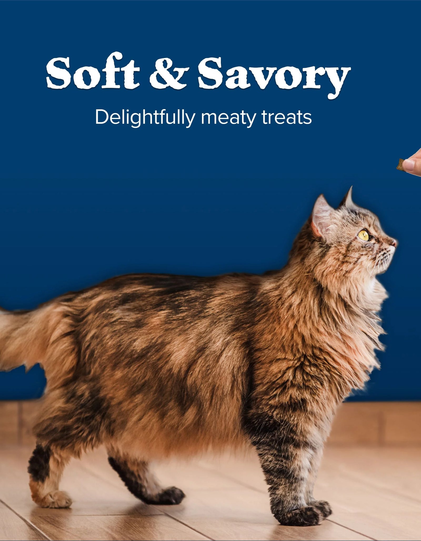 Wilderness Chicken & Salmon Flavor Dry Soft Treats for Cats, Grain-Free, 2 Oz. Bag